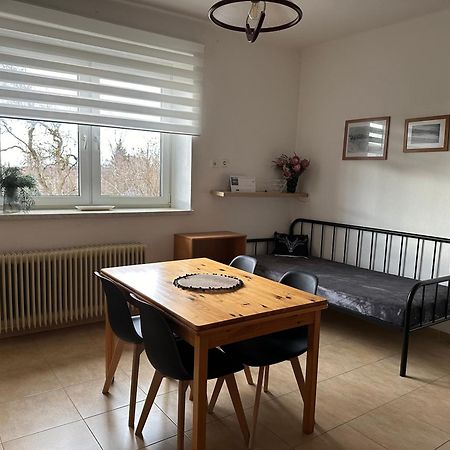 Apartman Aneta Nove Mesto Na Morave Buitenkant foto