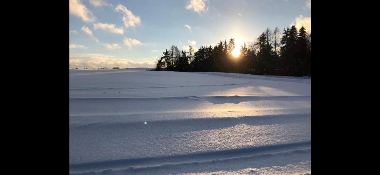 Apartman Aneta Nove Mesto Na Morave Buitenkant foto